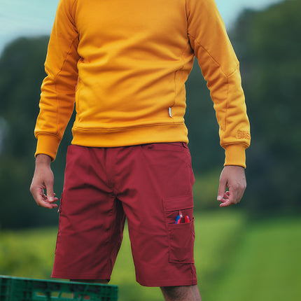 DASSY® - ViVid LR - Zion - shorts - detail - front - 01