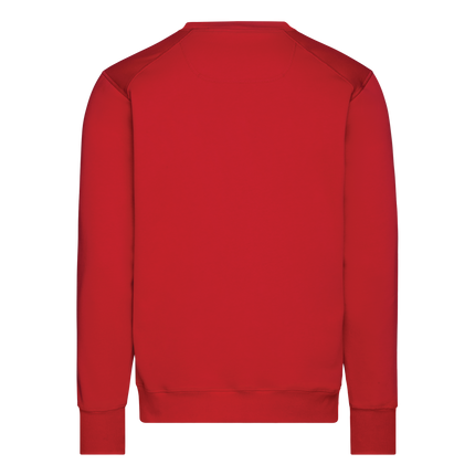 DASSY DASSY® Fibre sweater
